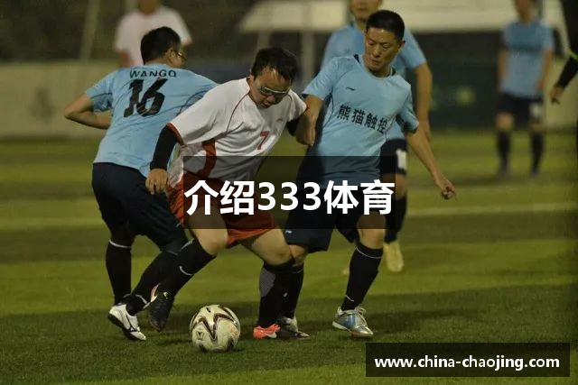 介绍333体育